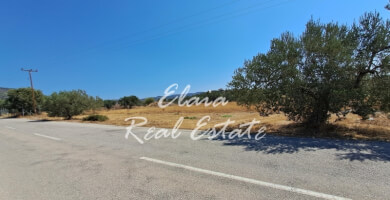 Πωλείται Αγροτεμάχιο 30406 τ.μ Φωτογραφία 