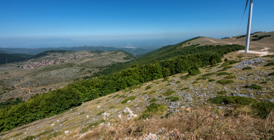 ΕΛΑΤΑ ΞΗΡΟΛΙΒΑΔΟΥ Φωτογραφία 5