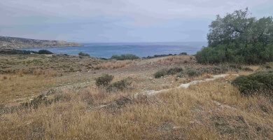 LAND PLOT 4.000 m² FOR SALE IN PITSIDIA Photo 