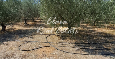 Πωλείται Αγροτεμάχιο 30406 τ.μ Φωτογραφία 