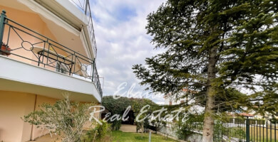 Πωλείται Μονοκατοικία 295 τ.μ Φωτογραφία 