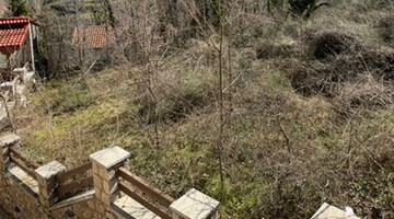 Μεζονέτα στην Αγόριανη Παρνασσού Φωτογραφία 