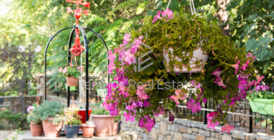 Detached stone house in Palio Pedino (6) Photo 