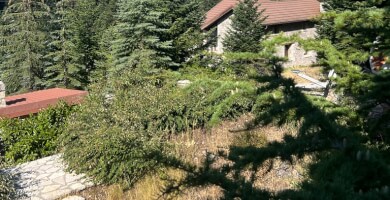 Πολυτελές σαλέ στον Παρνασσό Φωτογραφία 