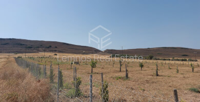 Land plot in Saravari Photo 