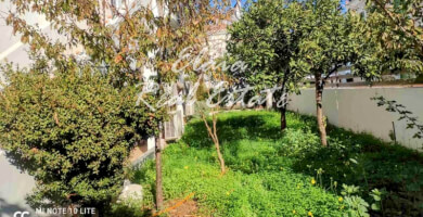 Πωλείται Μονοκατοικία 400 τ.μ Φωτογραφία 