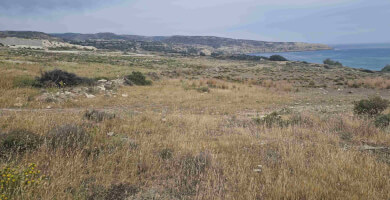 LAND PLOT 4.000 m² FOR SALE IN PITSIDIA Photo 