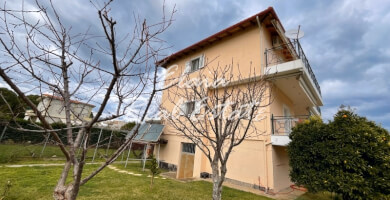 Πωλείται Μονοκατοικία 295 τ.μ Φωτογραφία 