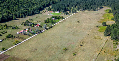 ΕΛΑΤΑ ΞΗΡΟΛΙΒΑΔΟΥ Φωτογραφία 8