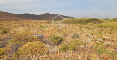 Parcel in Parthenomytos Photo 