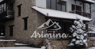 Πέτρινη μονοκατοικία 200 τ.μ. στην Άνω Πολύδροσο Φωτογραφία 