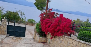 Πολυτελής επιπλωμένη μεζονέτα 380 τ.μ. στον Θεολόγο με πισίνα Φωτογραφία 