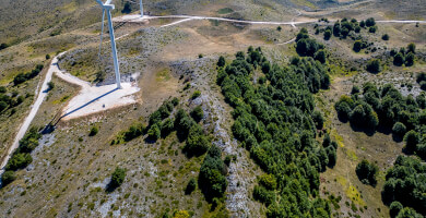 ΕΛΑΤΑ ΞΗΡΟΛΙΒΑΔΟΥ Φωτογραφία 6