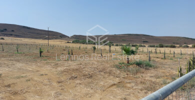 Land plot in Saravari Photo 