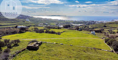 SIOTOS REAL ESTATE Photo 2