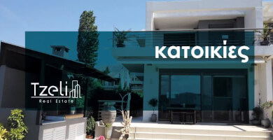 TZELI REAL ESTATE Φωτογραφία 1