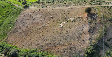 LAND PLOT 4.800 m² FOR SALE IN AGIA GALINI Photo 