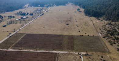 ΕΛΑΤΑ ΞΗΡΟΛΙΒΑΔΟΥ Φωτογραφία 1