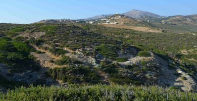 LAND PLOT 44.000 m² FOR SALE IN AGIA PELAGIA Photo 