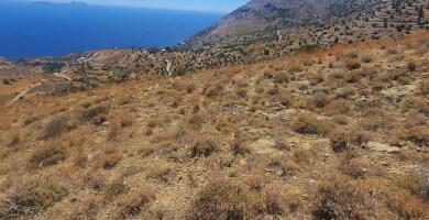 LAND PLOT 5.000 m² FOR SALE IN AGIA GALINI Photo 
