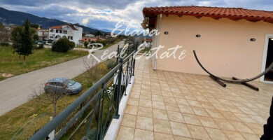 Πωλείται Μονοκατοικία 295 τ.μ Φωτογραφία 