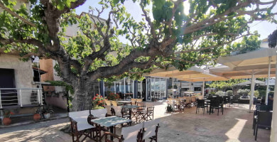 Cafe-Restaurant Photo 