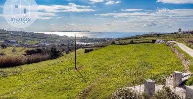 SIOTOS REAL ESTATE Photo 7