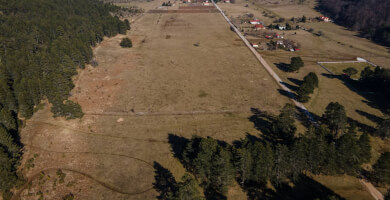 ΕΛΑΤΑ ΞΗΡΟΛΙΒΑΔΟΥ Φωτογραφία 2