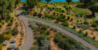 RealFlow Agency Photo 3