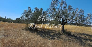 Πωλείται Αγροτεμάχιο 30406 τ.μ Φωτογραφία 