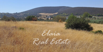 Πωλείται Αγροτεμάχιο 30406 τ.μ Φωτογραφία 