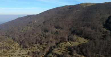 ΕΛΑΤΑ ΞΗΡΟΛΙΒΑΔΟΥ Φωτογραφία 4