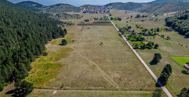 ΕΛΑΤΑ ΞΗΡΟΛΙΒΑΔΟΥ Φωτογραφία 7