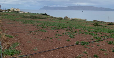 Παραθαλάσσιο Οικόπεδο στην Κίσσαμο Φωτογραφία 