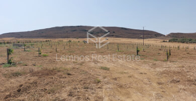Land plot in Saravari