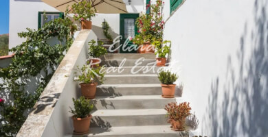 Πωλείται Μονοκατοικία 400 τ.μ Φωτογραφία 