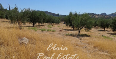 Πωλείται Αγροτεμάχιο 30406 τ.μ Φωτογραφία 