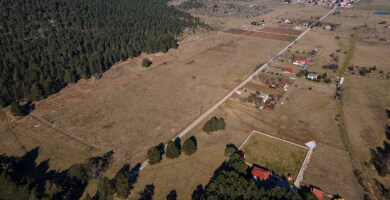 ΕΛΑΤΑ ΞΗΡΟΛΙΒΑΔΟΥ Φωτογραφία 3