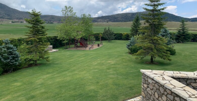 ΚΑΤΟΙΚΙΑ ΠΡΟΣ ΠΩΛΗΣΗ ΣΤΟ ΛΙΒΑΔΙ ΠΑΡΝΑΣΣΟΥ Φωτογραφία 