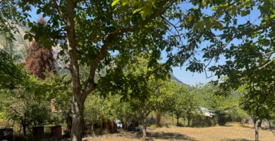 ΟΙΚΟΠΕΔΟ ΠΡΟΣ ΠΩΛΗΣΗ ΣΤΟΝ ΕΠΤΑΛΟΦΟ ΠΑΡΝΑΣΣΟΥ