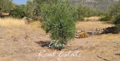 Πωλείται Αγροτεμάχιο 30406 τ.μ Φωτογραφία 