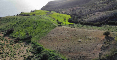 LAND PLOT 4.800 m² FOR SALE IN AGIA GALINI Photo 