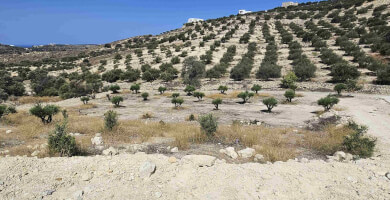 LAND PLOT 3700 m² FOR SALE IN KAMILARI Photo 