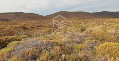 Parcel in Parthenomytos Photo 