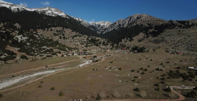 18 ΟΜΟΡΑ ΑΓΡΟΤΕΜΑΧΙΑ ΠΡΟΣ ΠΩΛΗΣΗ ΣΤΟ ΛΙΒΑΔΙ ΠΑΡΝΑΣΣΟΥ Φωτογραφία 