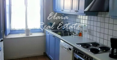 Πωλείται Μονοκατοικία 400 τ.μ Φωτογραφία 