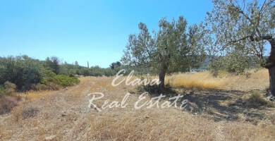 Πωλείται Αγροτεμάχιο 30406 τ.μ Φωτογραφία 