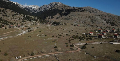 18 ΟΜΟΡΑ ΑΓΡΟΤΕΜΑΧΙΑ ΠΡΟΣ ΠΩΛΗΣΗ ΣΤΟ ΛΙΒΑΔΙ ΠΑΡΝΑΣΣΟΥ Φωτογραφία 
