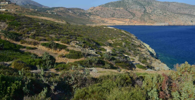 LAND PLOT 44.000 m² FOR SALE IN AGIA PELAGIA Photo 