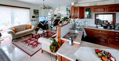 Πωλείται Μονοκατοικία 295 τ.μ Φωτογραφία 